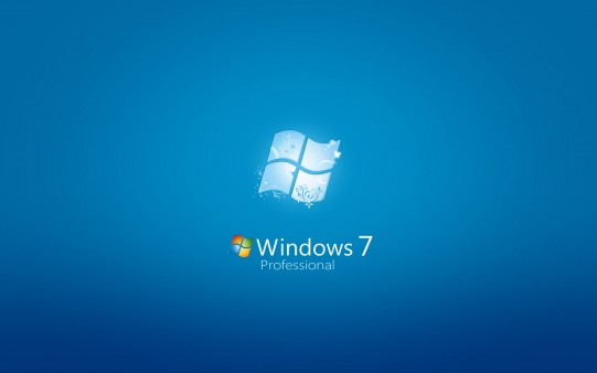 Windows 7 Profesional